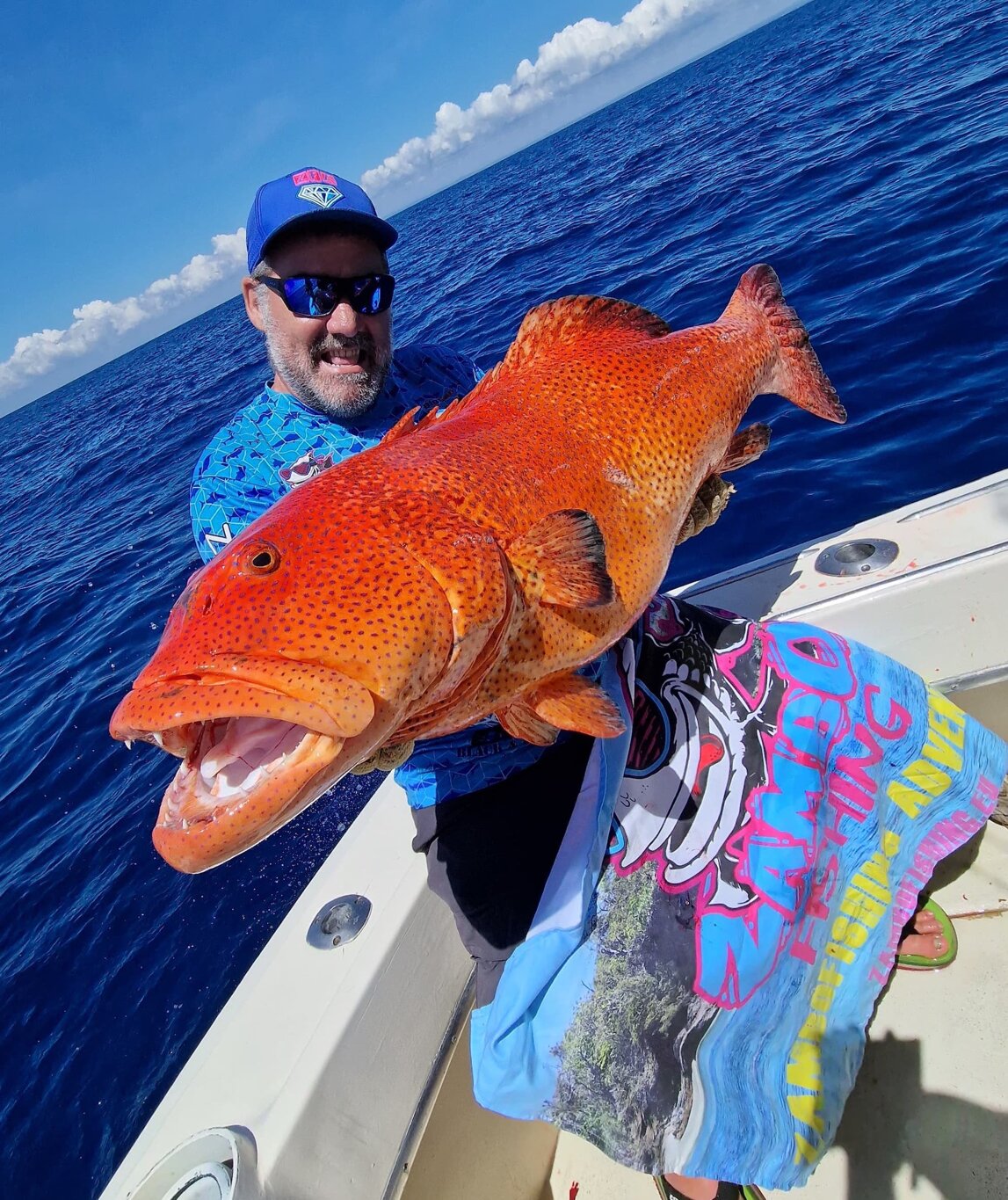 db87af6c-95c8-43fb-a2bd-b5068f02c28e