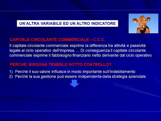 afe4e86b-0cf1-4626-a6d6-10c3e9f75994