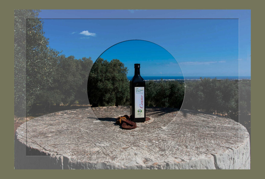 8d563a9c-bec7-4b7c-ae58-1a69d29e6393