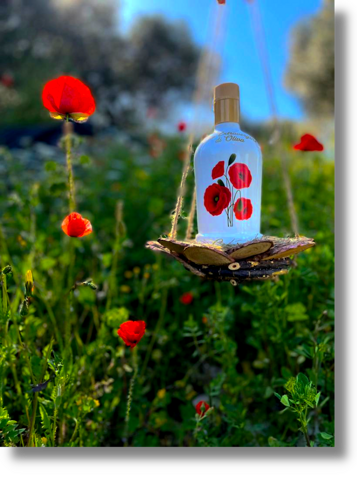 04846983-c11d-40f8-98cb-edeb04df38da 04846983-c11d-40f8-98cb-edeb04df38da