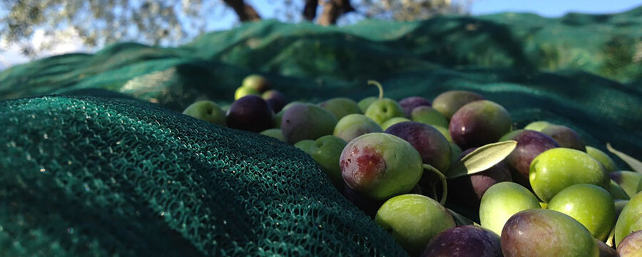 e698316f-a526-45c7-9b21-3db01e55fc82