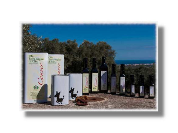 50eda0bb-13b7-4e12-aa6b-df1288c0b653