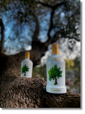 877c6597-9ebc-4201-9bb6-e40fbd4c858a 877c6597-9ebc-4201-9bb6-e40fbd4c858a