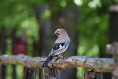 dsc_0280 dsc_0280