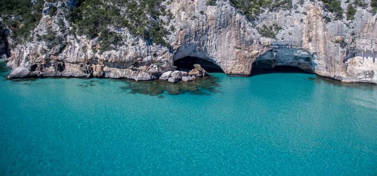 f86cc4a8-294b-4675-916f-507ed7e71b45 f86cc4a8-294b-4675-916f-507ed7e71b45