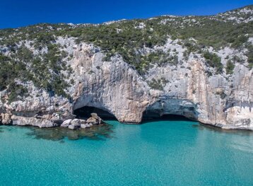 222583c7-a9c4-4da6-bb0a-65f65babcaa0 222583c7-a9c4-4da6-bb0a-65f65babcaa0