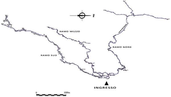 16d2f04e-8ce7-495e-918b-3c075b23a5d1