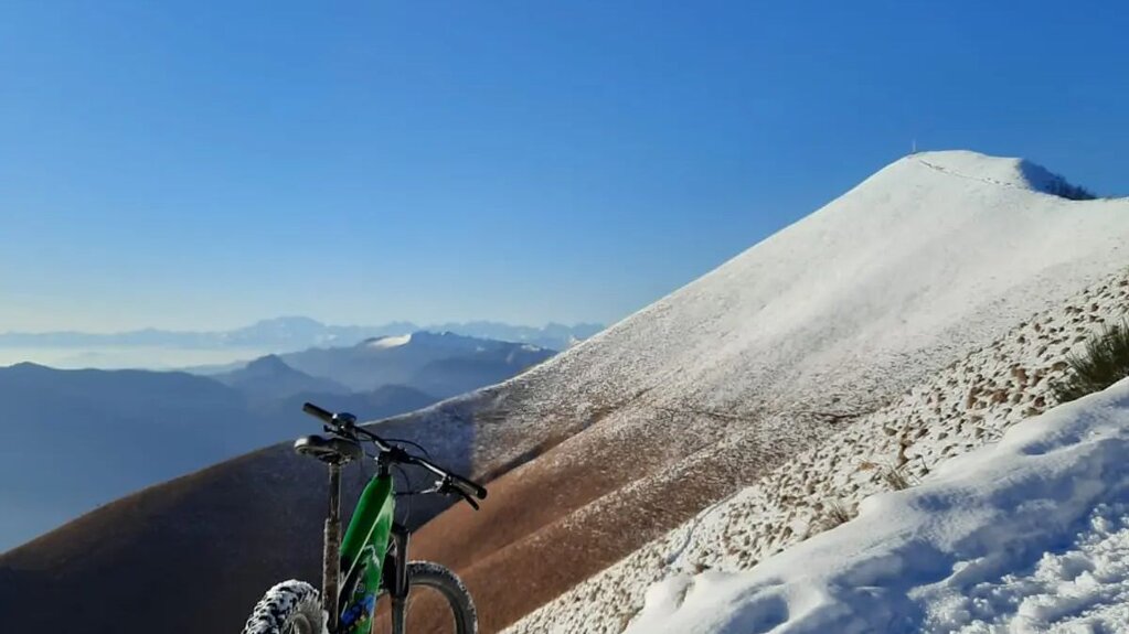 10caad78-caa5-47fa-9531-20edc87bae1b