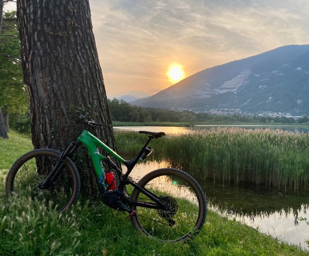 d16f3746-f025-41b2-8649-32472c6da859