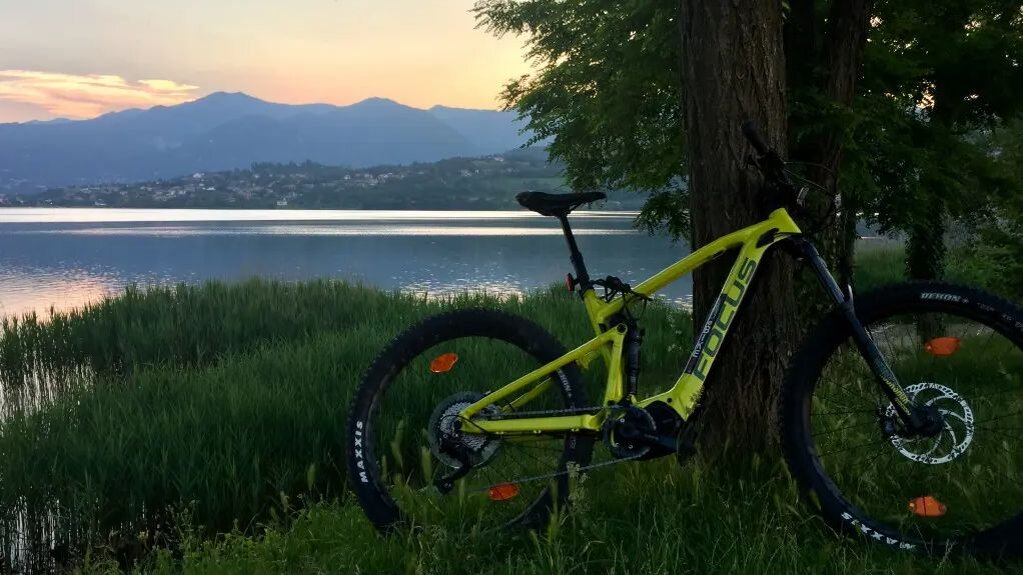 6ed0c50c-c711-40fa-83ad-eaf63cfce849