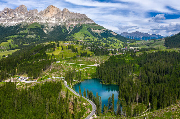 8cca6c53-8938-4e31-a465-77154b891035