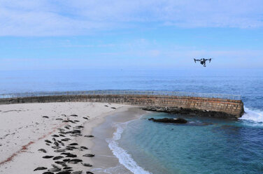 flight_of_view_22_2 flight_of_view_22_2