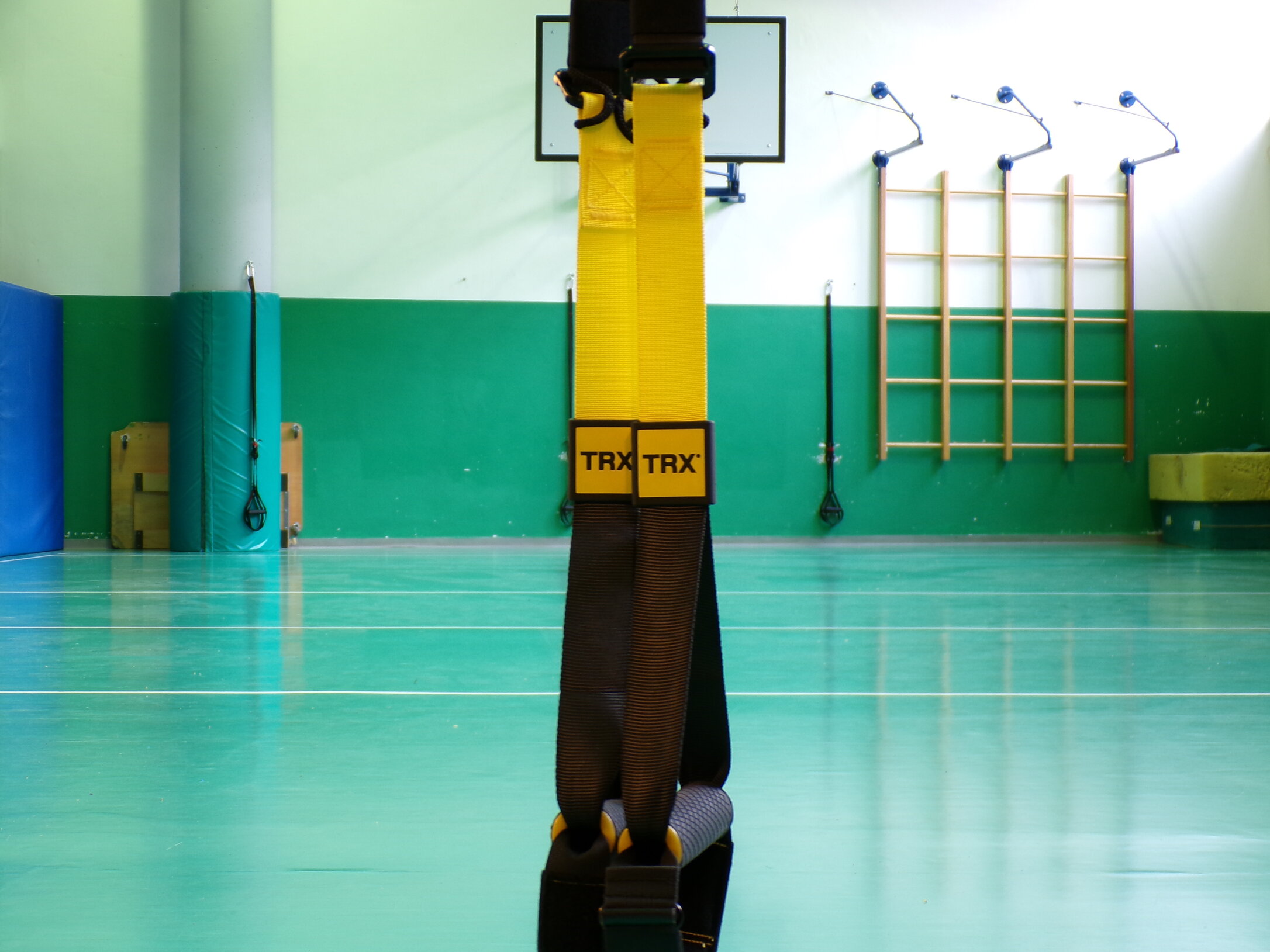 3fc59338-67fc-4d0c-989b-488a1646c6d0 3fc59338-67fc-4d0c-989b-488a1646c6d0