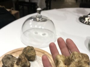 Precious White Truffle