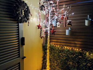 Christmas setup