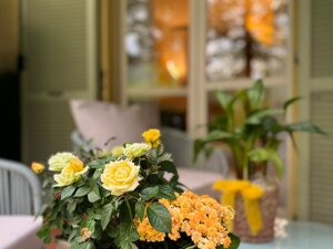 arrangement with summer flowers