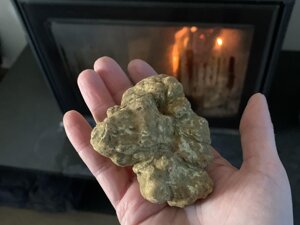 Il Tartufo Bianco