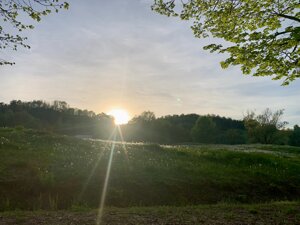 Tramonto granaio nr 5