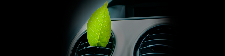 banner-entrata-home_4 banner-entrata-home_4