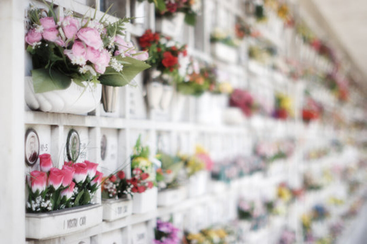 0daf81f5-fd07-4b43-80b9-aa52e7031e97