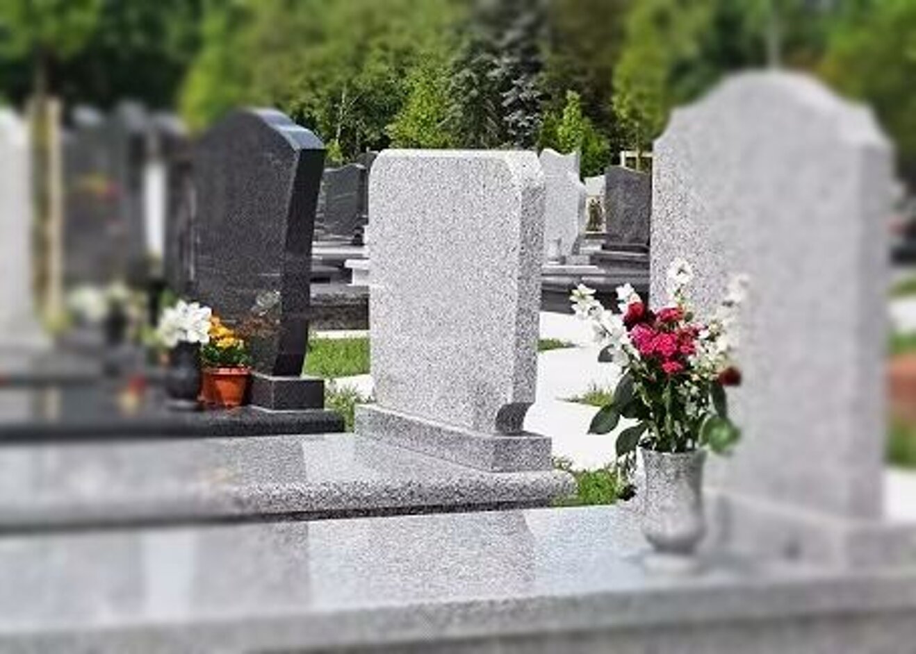 38829676-43a8-40ac-a5a7-50d81e921bd4