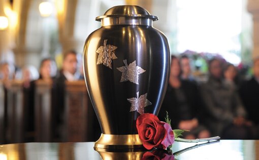 cfd83c4d-63c7-494e-a5ff-9d3efaaf0296 cfd83c4d-63c7-494e-a5ff-9d3efaaf0296