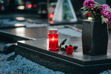 e6959dd8-cc1f-41ed-89e1-75f25129d58c