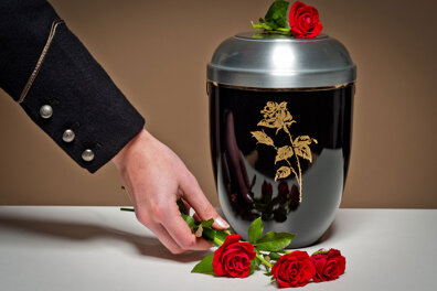 d6cf2d17-1afd-4529-9db0-b5e3b528f822 d6cf2d17-1afd-4529-9db0-b5e3b528f822