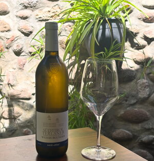 img_4837%20-%20dimensioni%20grandi.jpeg img_4837%20-%20dimensioni%20grandi.jpeg