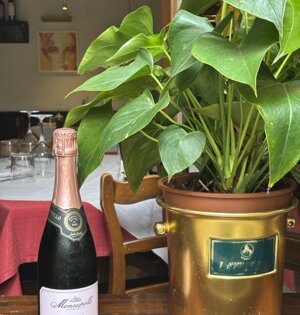 img_6887%20-%20dimensioni%20grandi.jpeg img_6887%20-%20dimensioni%20grandi.jpeg