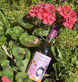 img_4728%20-%20dimensioni%20grandi.jpeg img_4728%20-%20dimensioni%20grandi.jpeg