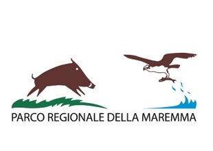 8b298ac8-be56-4771-a5f4-9d4496d900eb