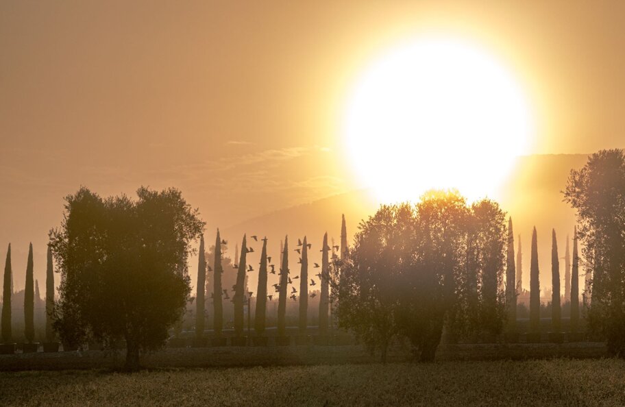 629203e2-ac7a-4011-b2e7-aa784a1fbb07 629203e2-ac7a-4011-b2e7-aa784a1fbb07