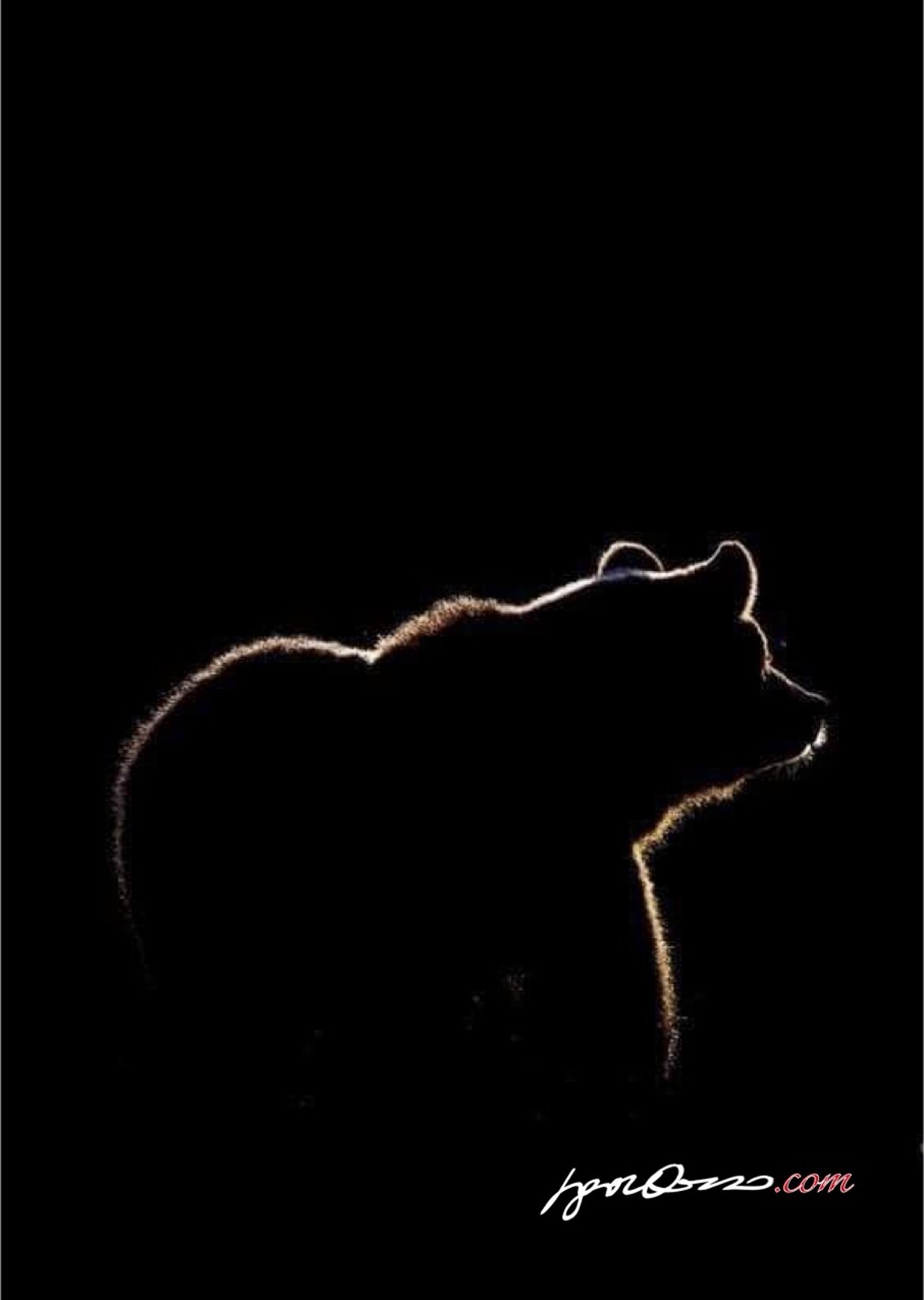 e85db3ca-b276-41bf-8920-d7a9a89dc184