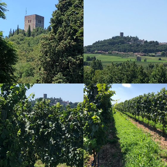 8aa3e322-d33d-4820-9ccb-45f30a77152f