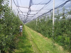 Descrizione immagine