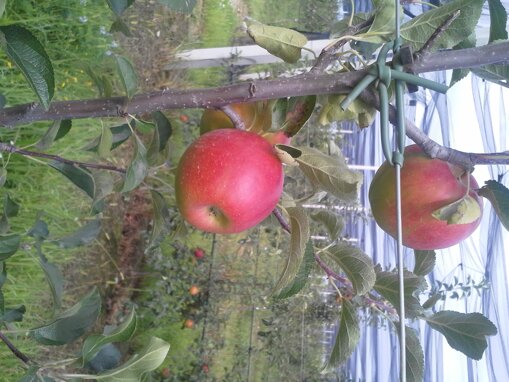 Descrizione immagine