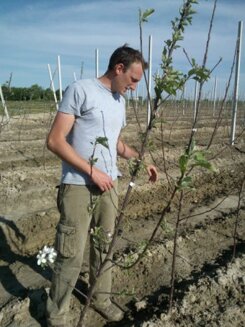 Descrizione immagine