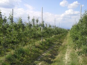 Descrizione immagine