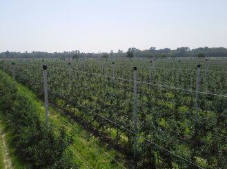 Descrizione immagine