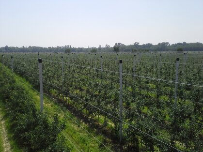 Descrizione immagine