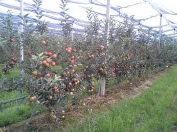 Descrizione immagine