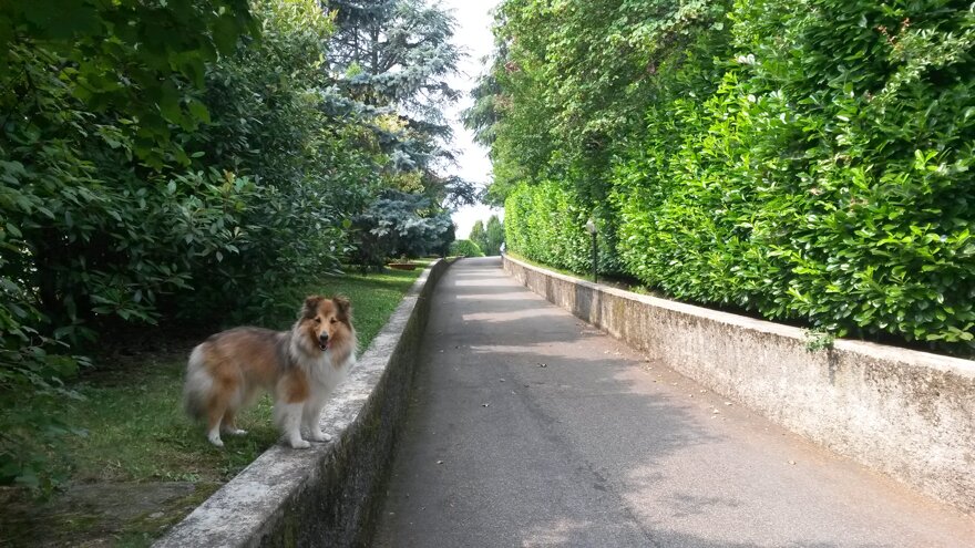 Descrizione immagine