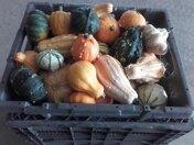 Descrizione immagine