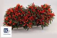 Descrizione immagine