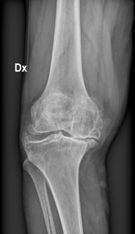 0d7d331f-cba0-404a-82f2-5f0c52755b41