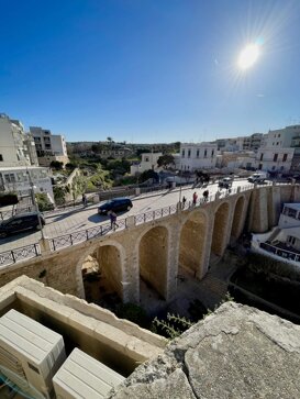 LAMA MONACHILE LAMA MONACHILE