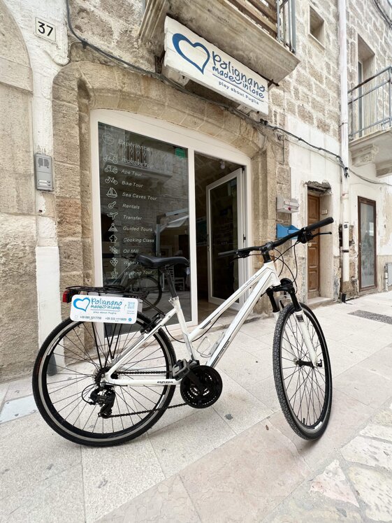 fb58898a-95f6-4d06-bf04-74420d988978.jpeg fb58898a-95f6-4d06-bf04-74420d988978.jpeg