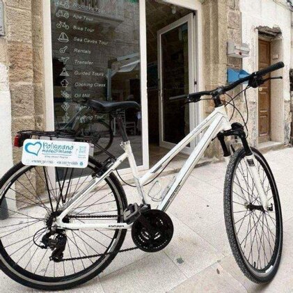 142904e5-1652-4afd-85d2-0764f91ae220.jpeg 142904e5-1652-4afd-85d2-0764f91ae220.jpeg