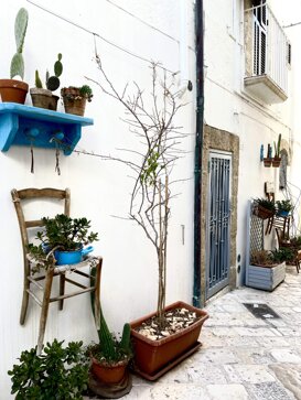 VIA MURAGLIA VIA MURAGLIA